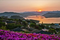 해바라기 연가