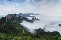 山